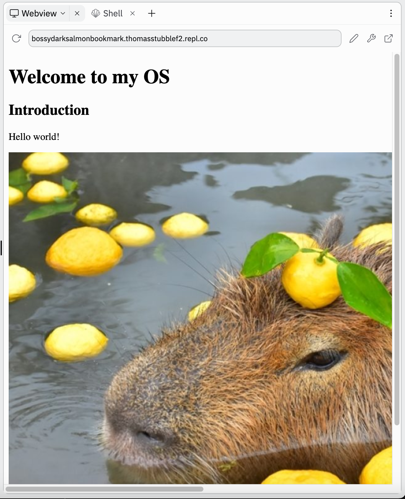 Website with text on top and a Capybara image